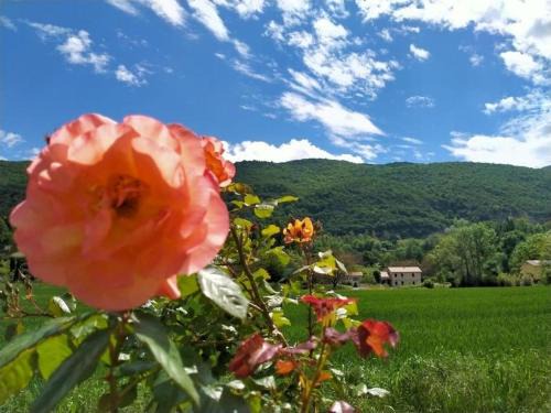 Hostun House | Chambres d'Hôtes & Studio L'Hosting Noix