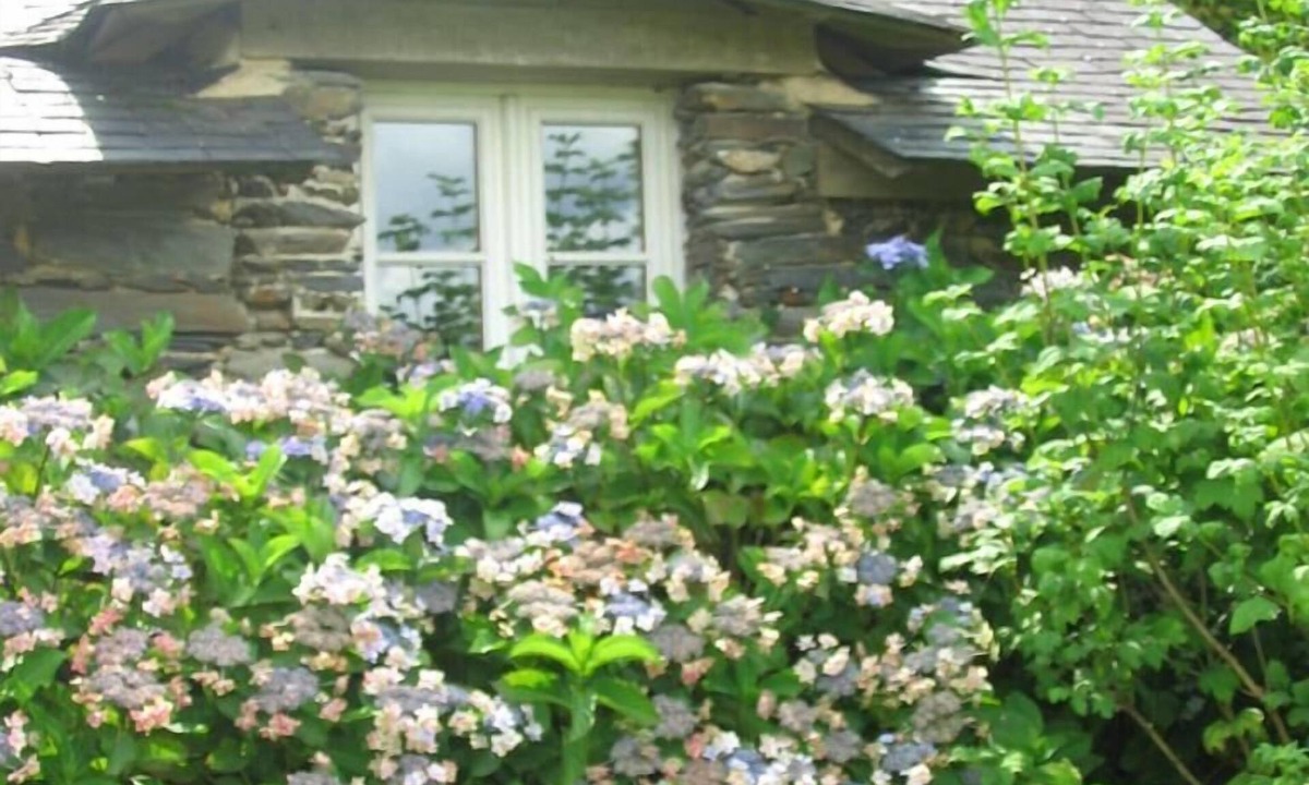 Marsac-sur-Don Bed & Breakfast | Chambres d'hotes la Merais