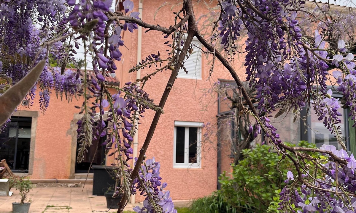 Charly Bed & Breakfast | Chambres Dans Maison Neuve