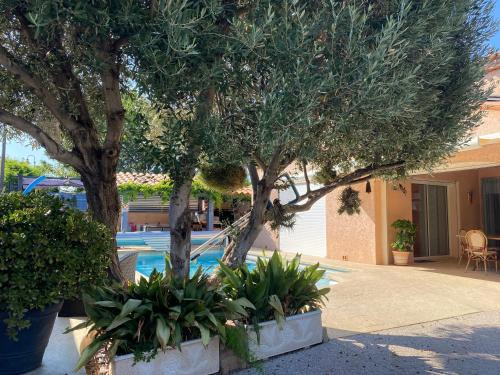 Villeneuve-la-Riviere Bed & Breakfast | Chambres Table d'hotes Carpe diem