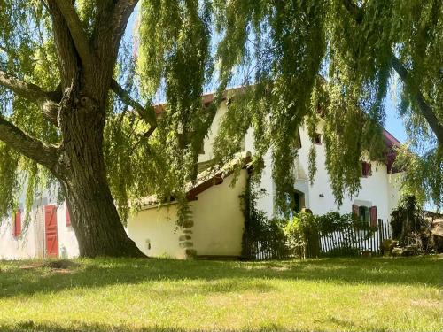 Iholdy Bed & Breakfast | Chambres Tables d'Hôtes Lukugaraia