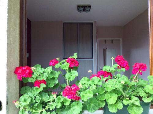 Thuit-Hebert Bed & Breakfast | Chambres tout confort du Tilleul