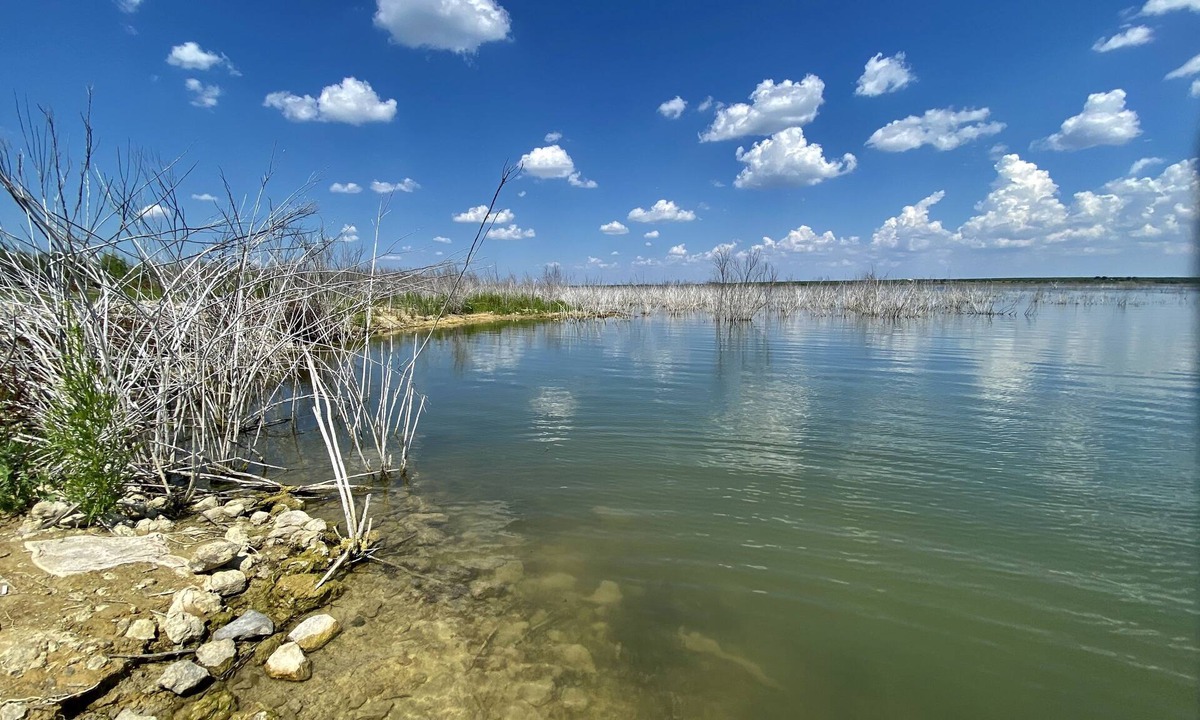 Millersview House | Chaparral de Lago 2