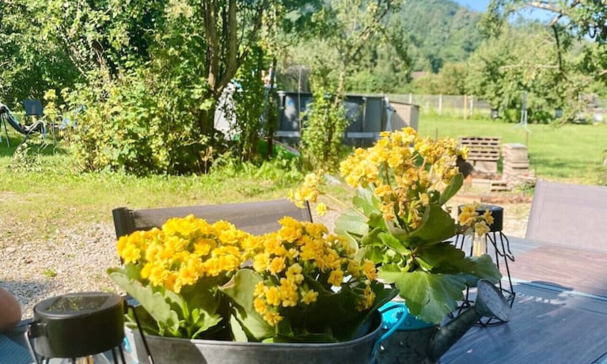 Saint-Simeon-de-Bressieux House | Charm and comfort in Isère