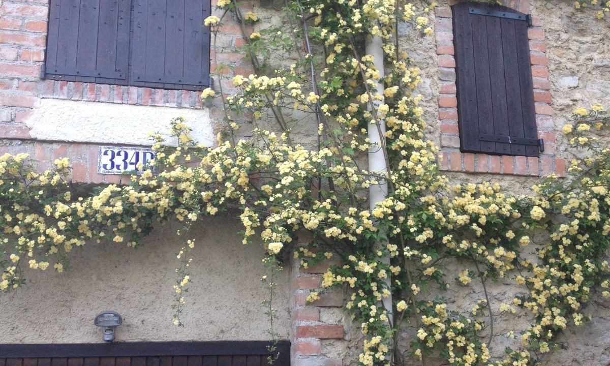 Ales House | Character House with private pool