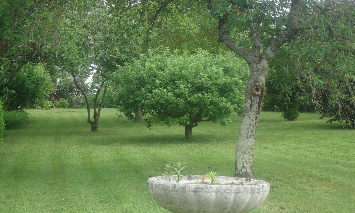 Pernay House | Characterful country house in a village of 1200 inhabitants.