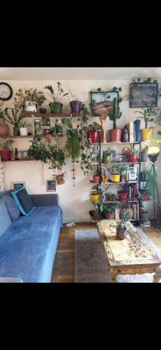 Arcueil Apartment | Charmant 2 pièces à Arcueil Calme, tout équipé RER B, Maison des Examens