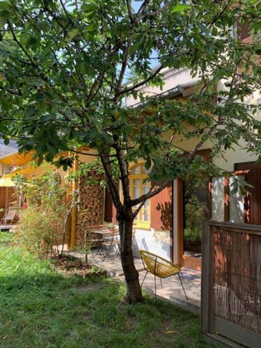 Bagneres-de-Bigorre Apartment | Charmant appartement sur cour, Le Cerisier