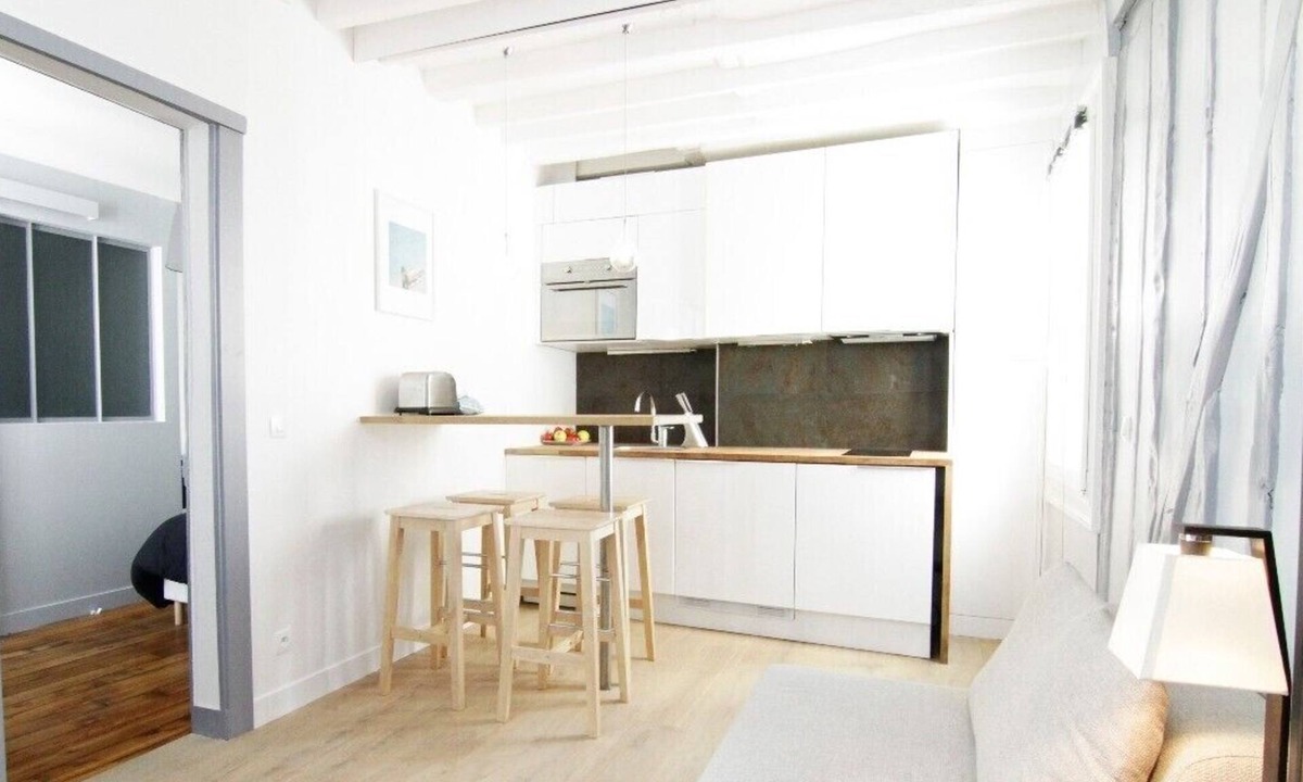 Hopital Saint-Louis Apartment | Charmant Appartement au Cœur de Paris - Quartier Canal Saint-martin-république