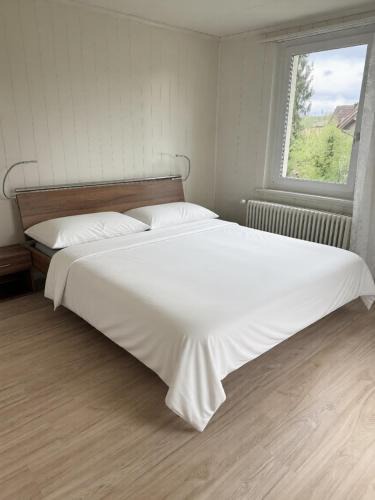 Granichen Apartment | Charmantes Apartment bei Aarau