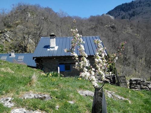 Urdos Ski Chalet | Charme authentique d'une cabane de montagne