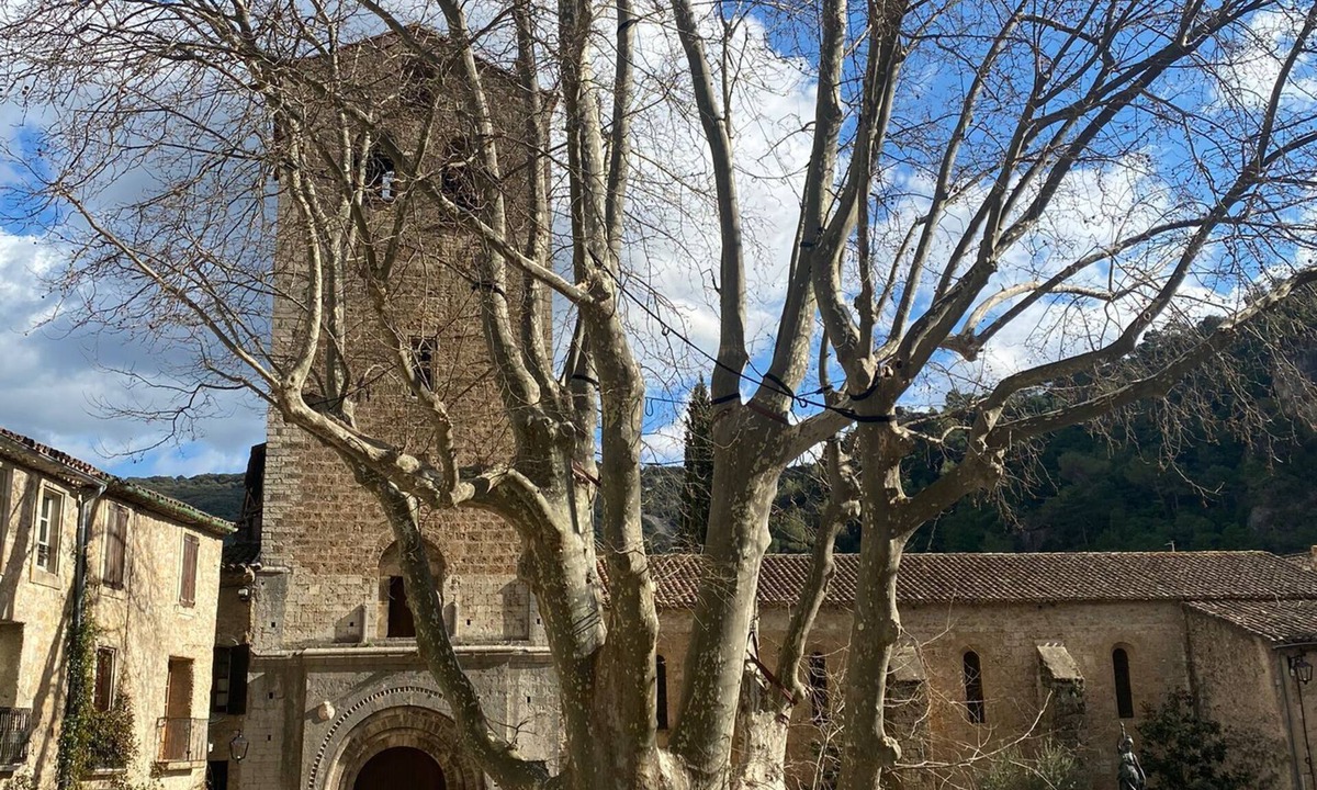 Saint-Guilhem-le-Desert Apartment | charming studio in the heart of Herault.