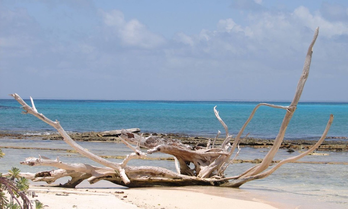 Saint-Laurent-d'Aigouze House | CHARMING HOUSE IN CARMARGUE