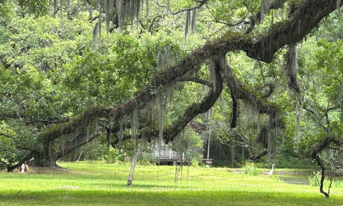 Jeanerette Cottage | Charming 2-bedroom cottage on the bayou Teche in Jeanerette with AC, WiFi
