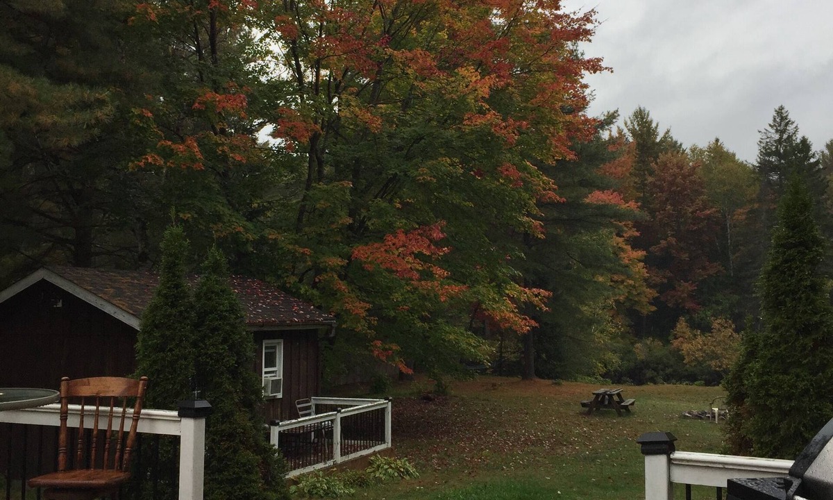 Hastings Highlands Cottage | Charming 2-bedroom cottage in Bancroft with AC, WiFi. Enjoy your stay
