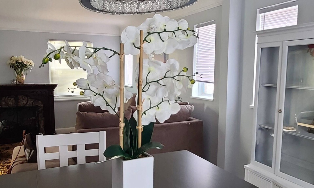 Detroit House | Charming 3-bedroom retreat in the heart of Detroit with fitness area, WiFi, AC