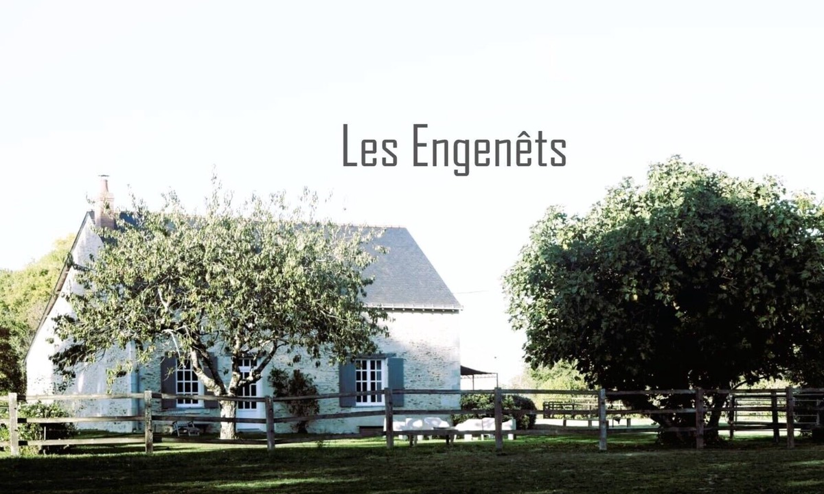 Feneu House | Charming 4* gîte in Anjou, surrounded by horses