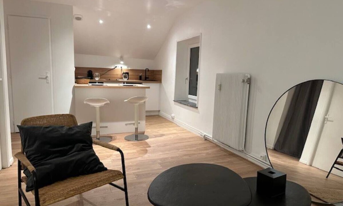 Poincare - Foch - Anatole France - Croix de Bourgogne Apartment | Charming and quiet apartmentnn