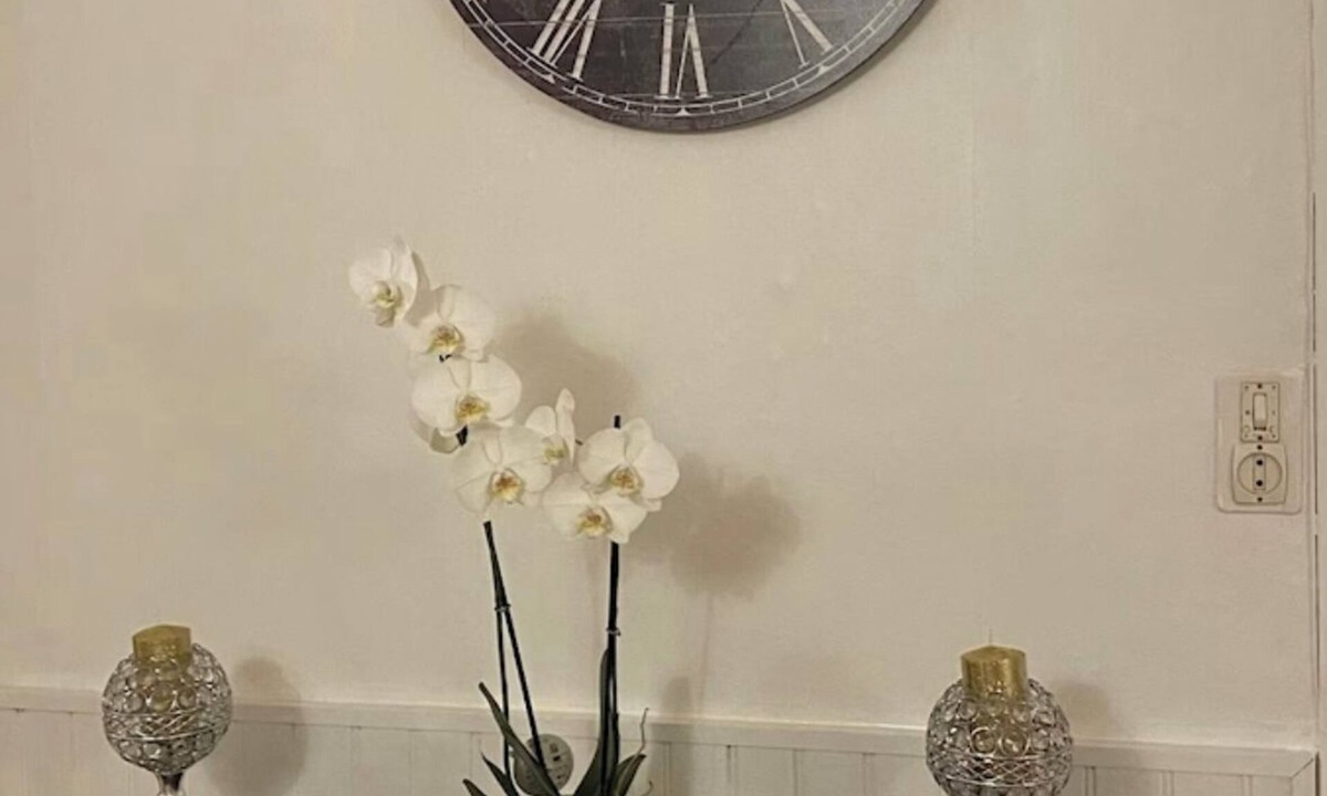 Vimoutiers Apartment | Charming apartment in Orne