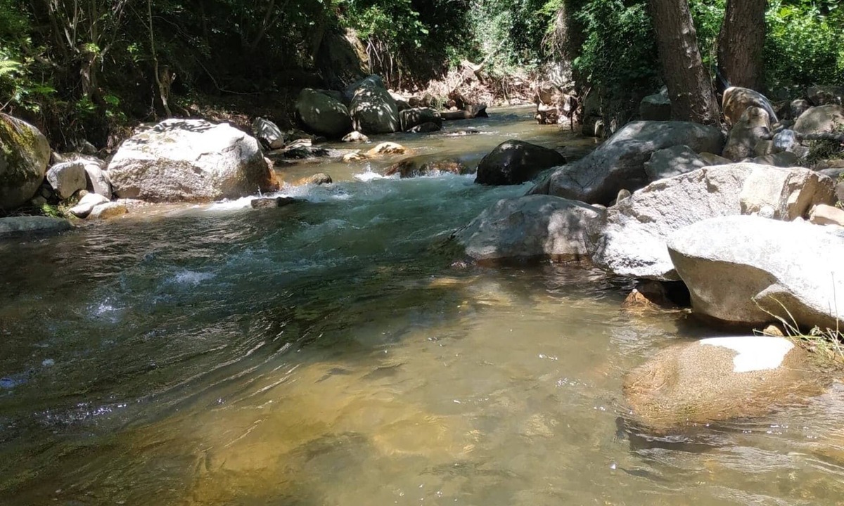 Brousses-et-Villaret House | Charming cottage * near Carcassonne