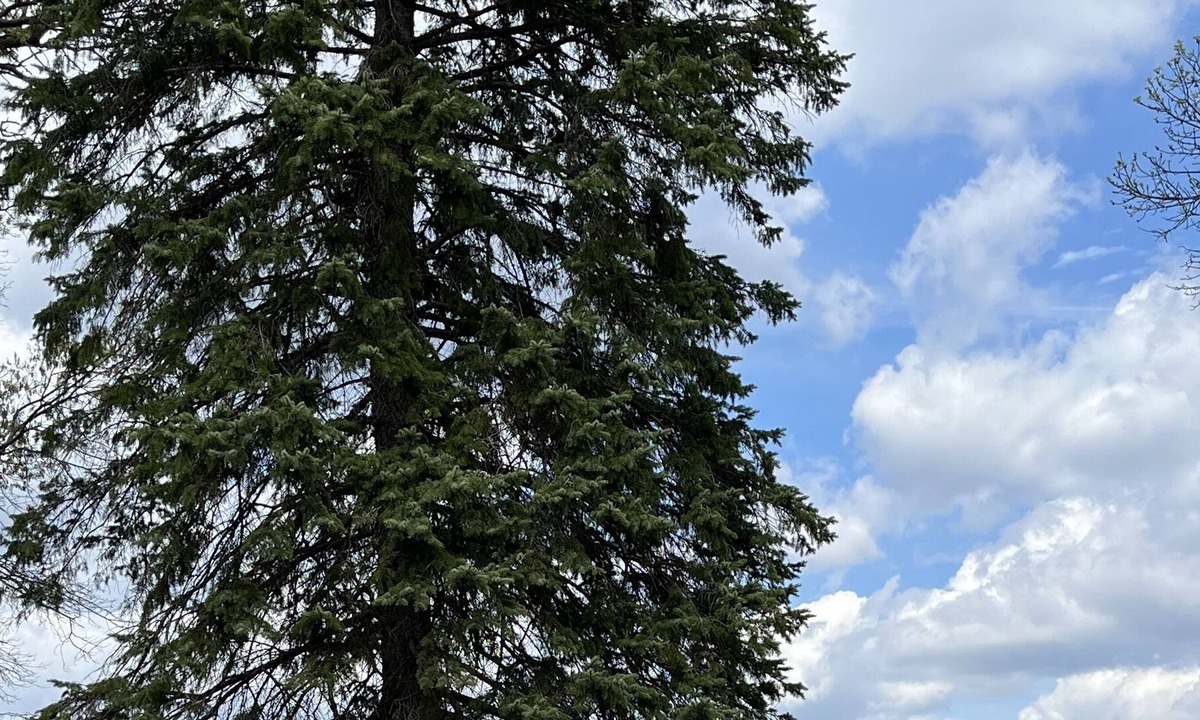 Big Lake Cabin | Charming Cabin On Eagle Lake - 1 hour from Cities