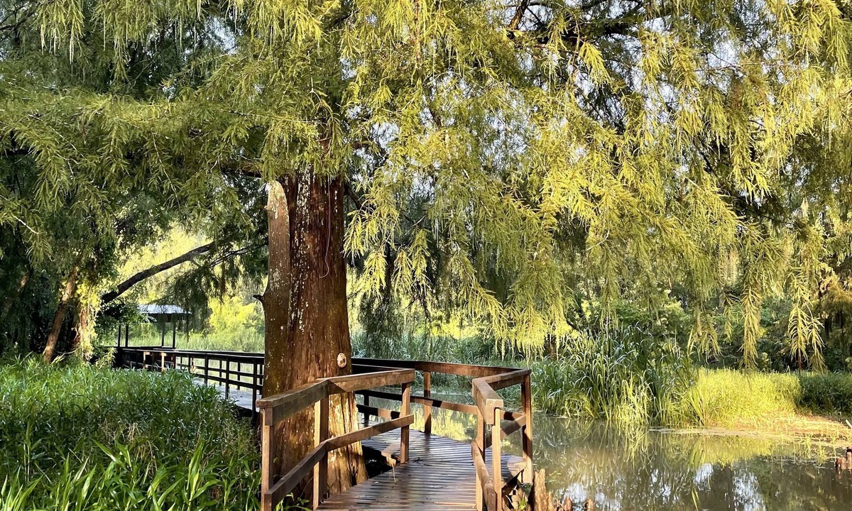 Bayou Goula Cabin | Charming cabin on Lower Grand River — Bayou Pigeon, Louisiana