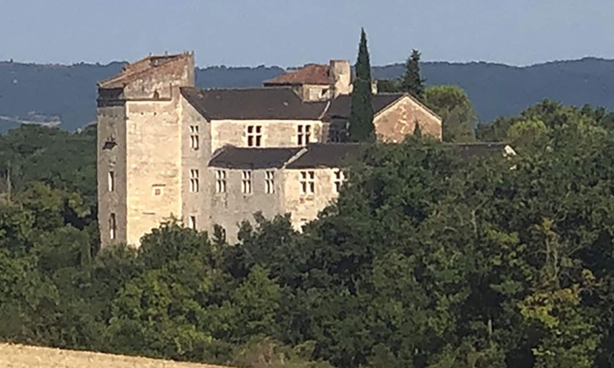 Livers-Cazelles Other | Charming chateau with swimming pool