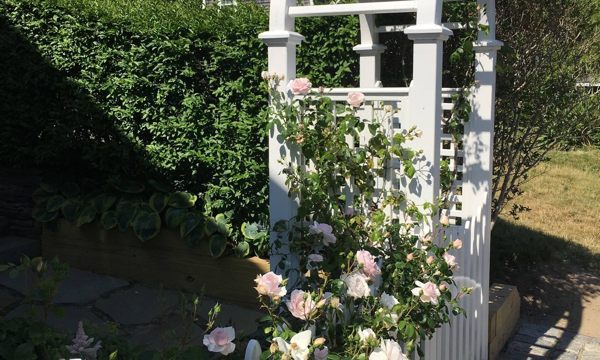 Nantucket Town Cottage | Charming Convenient & Affordable Prime 5-Star Rated In-Town Location