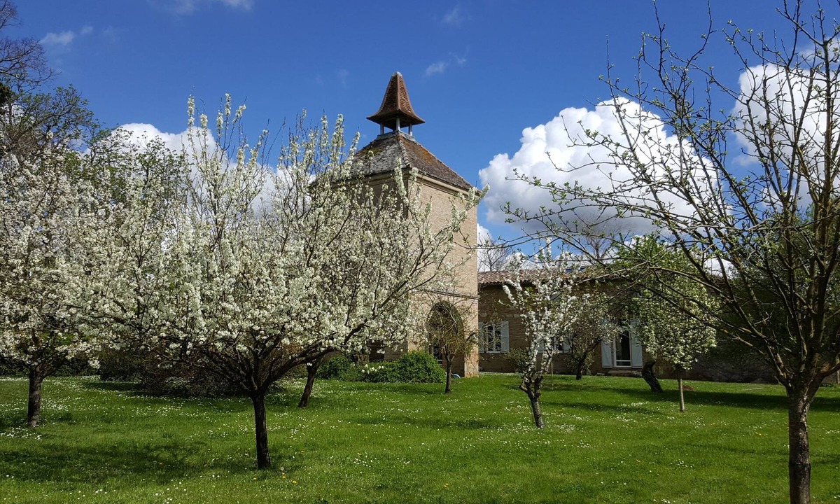Beaumont-de-Lomagne Cottage | Charming cottage (4 *) in the heart of Lomagne