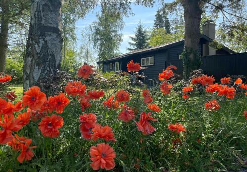 Smidstrup Strand House | Charming Cottage Close To Smidstrup Beach