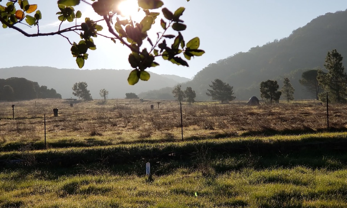Coombsville House | Charming Cottage/Guest House 2 miles from Downtown Napa