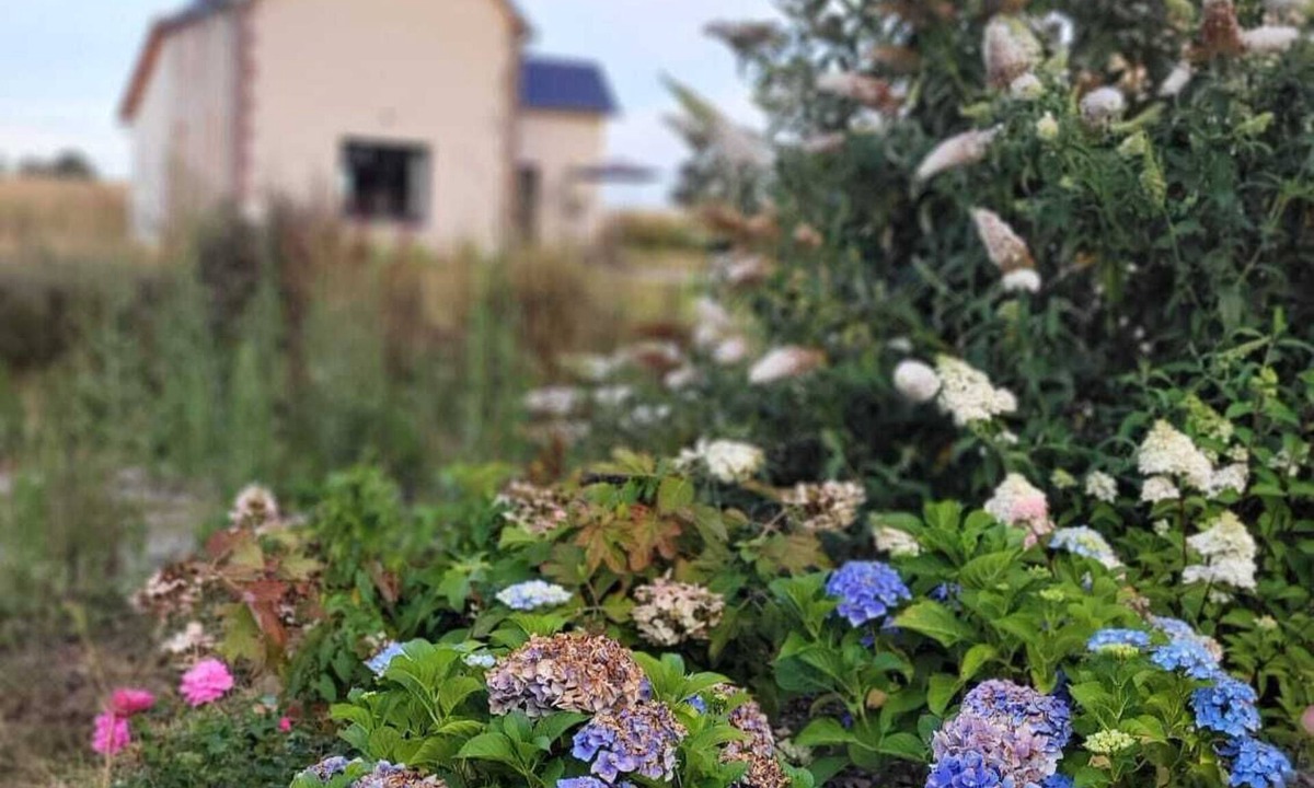 Bonsmoulins House | Charming cottage in the fields