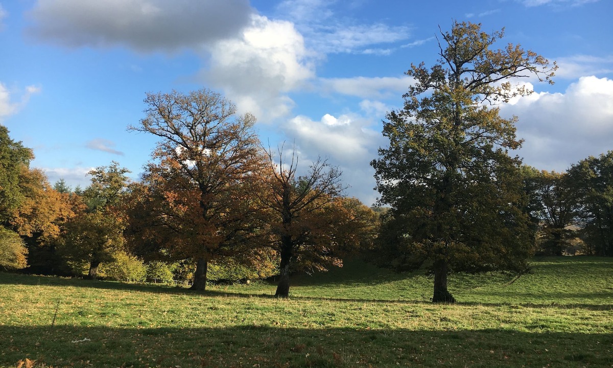 Augeres House | Charming cottage Les Trois Chênes