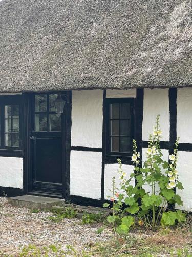 Holeby Villa | Charming Cottage Within Walking To Beach