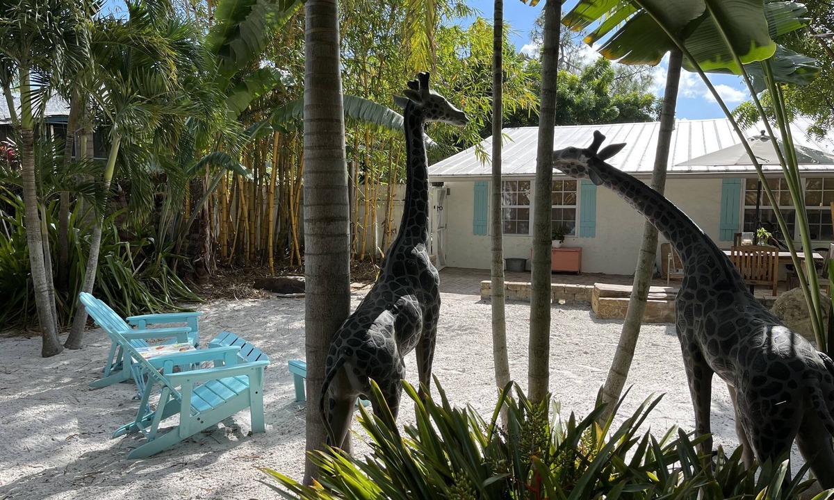 Naples Park House | Charming dog-friendly, large private tropical backyard. 3 bed 2 bath Great value