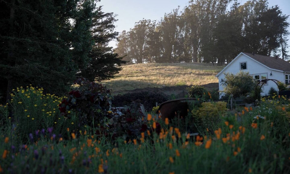 Petaluma Cottage | Charming Farmhouse on Organic Cattle Ranch