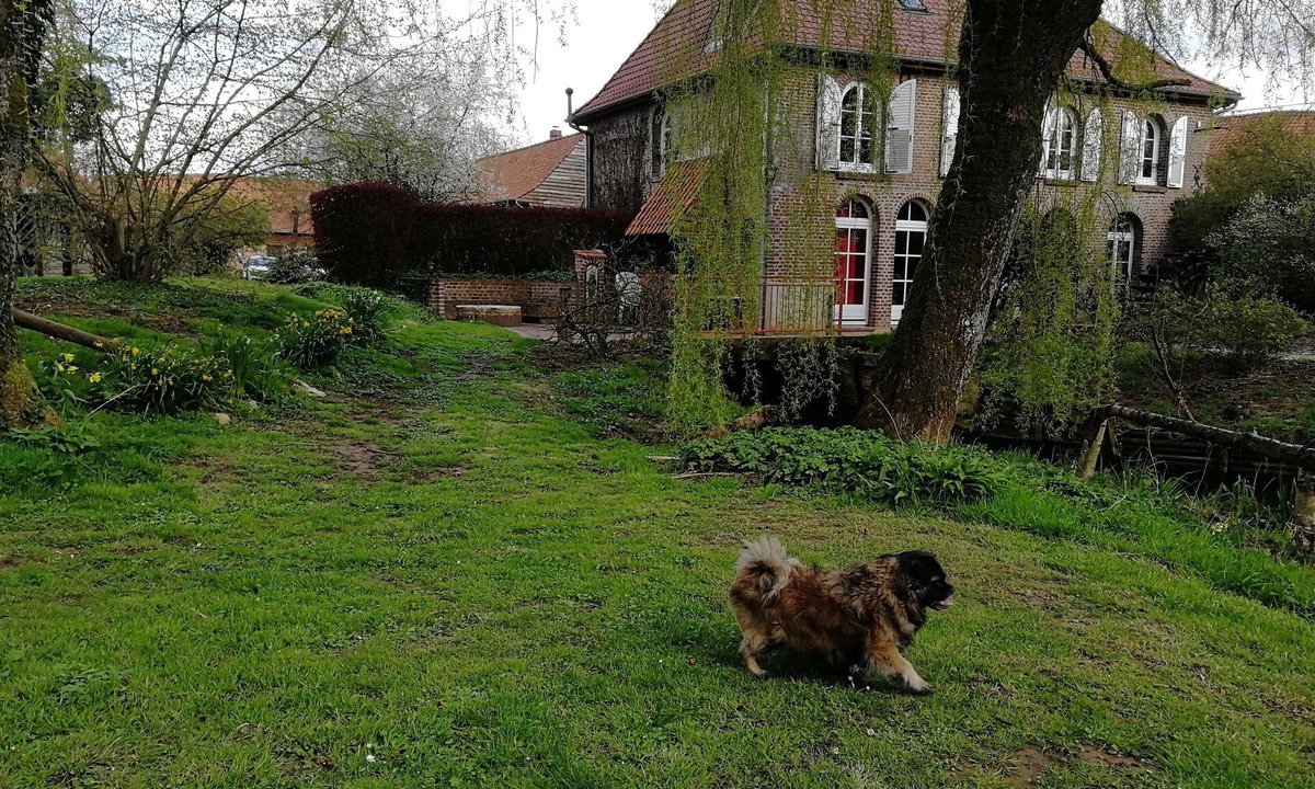 Renty Cottage | Charming gite in a mill