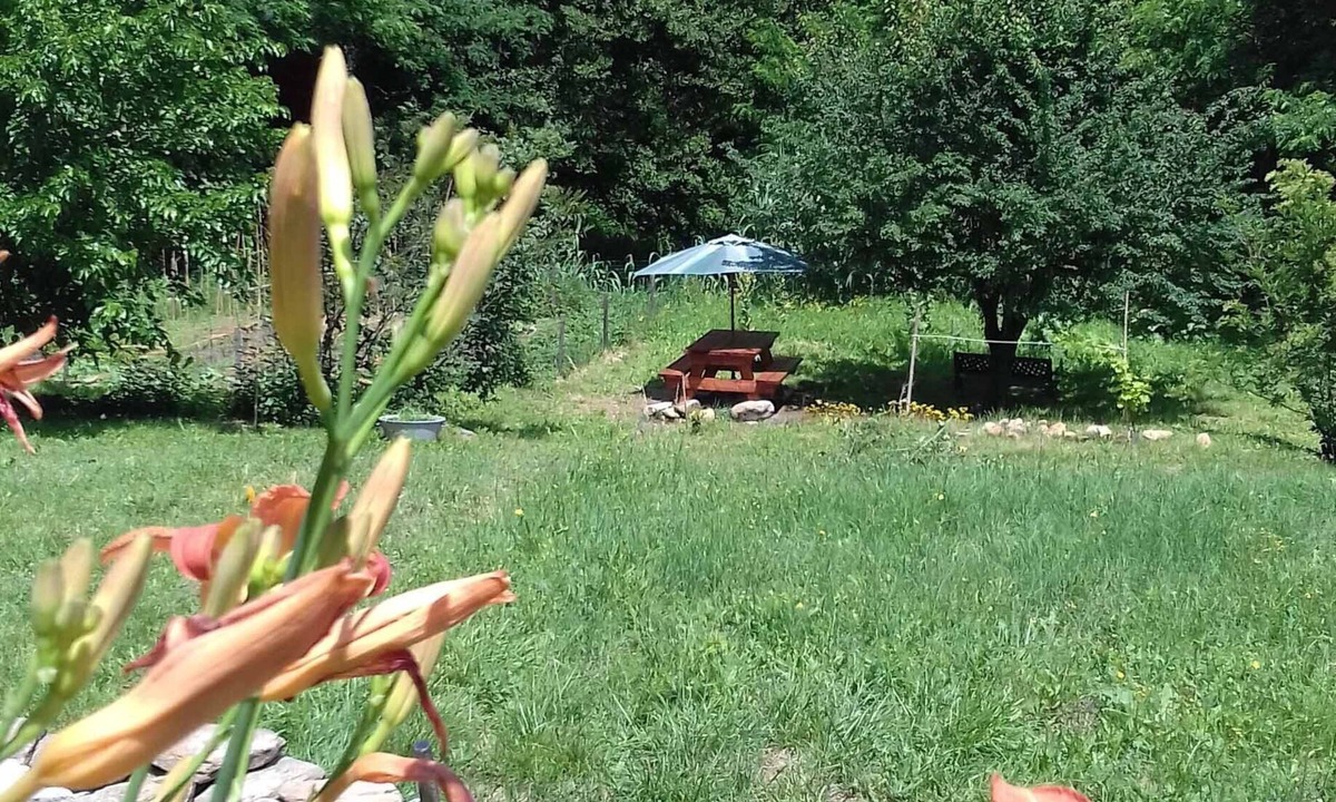 Le Martinet Apartment | Charming gîte overlooking the Cévennes and 3000m2 grounds