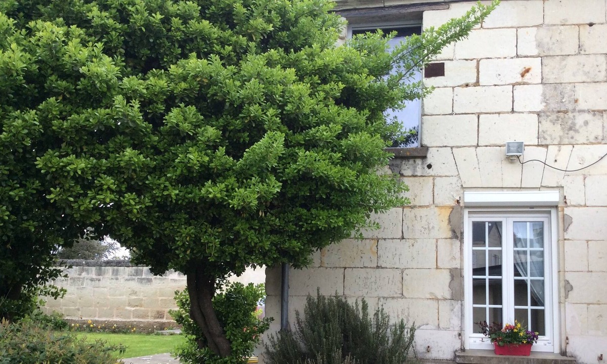 Varrains House | Charming house in a winegrowers' village