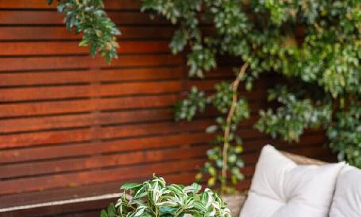 Leichhardt House | Charming house in Leichhardt