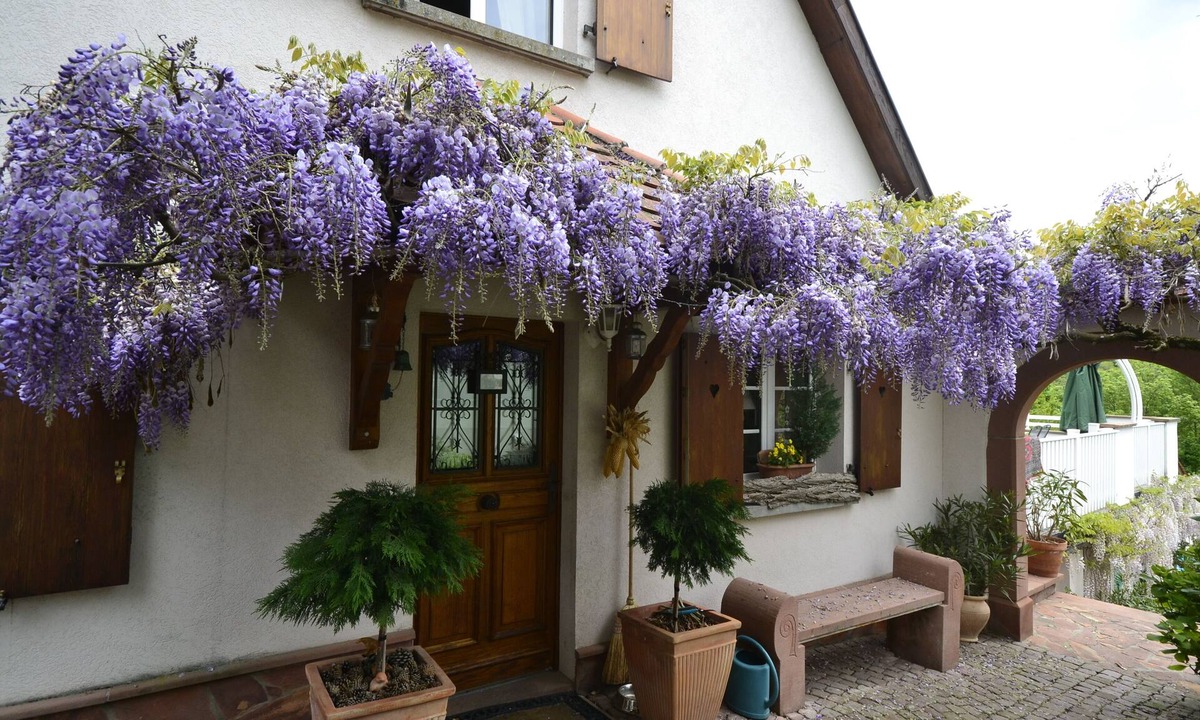 Rimbachzell House | Charming house with private pool 4 ⭐️