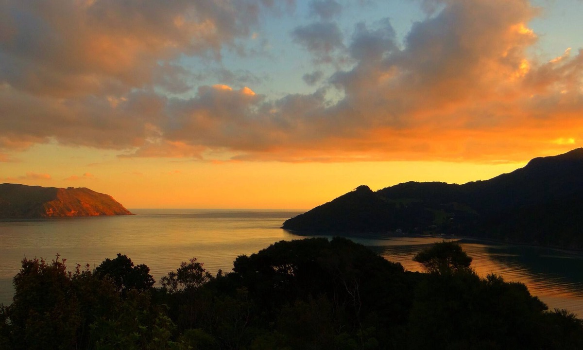 Huia Cottage | Charming Kiwi batch by the sea.