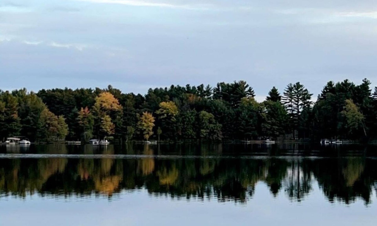 Wild Rose House | Charming Lake House!