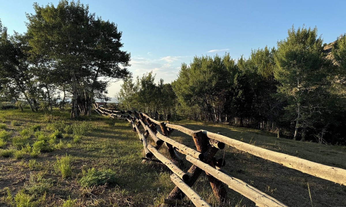 Ryan Park Cabin | Charming log cabin above Riverside - perfect for your getaway