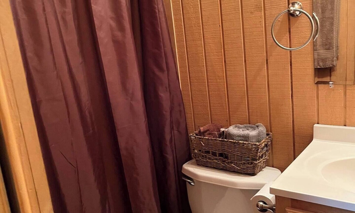 Osceola Apartment | Charming Micro cabin 2 in the heart of the Ozarks