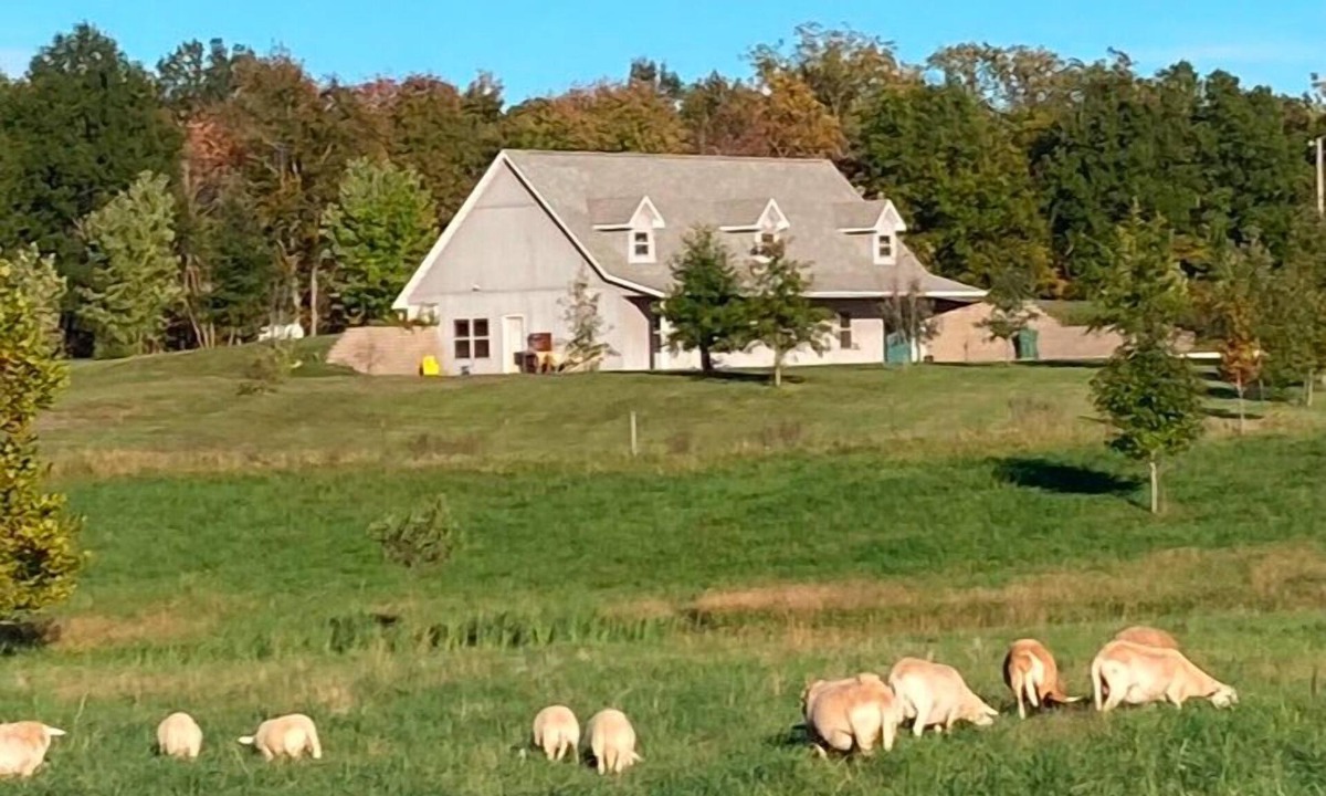 Sparta Other | Charming modern farmhouse - four miles from WSRC
