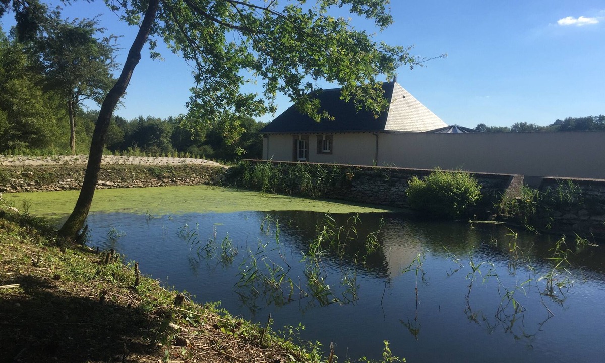 Vouzeron House | Charming "Potager 2" bungalow in Sologne in a relaxing forest setting