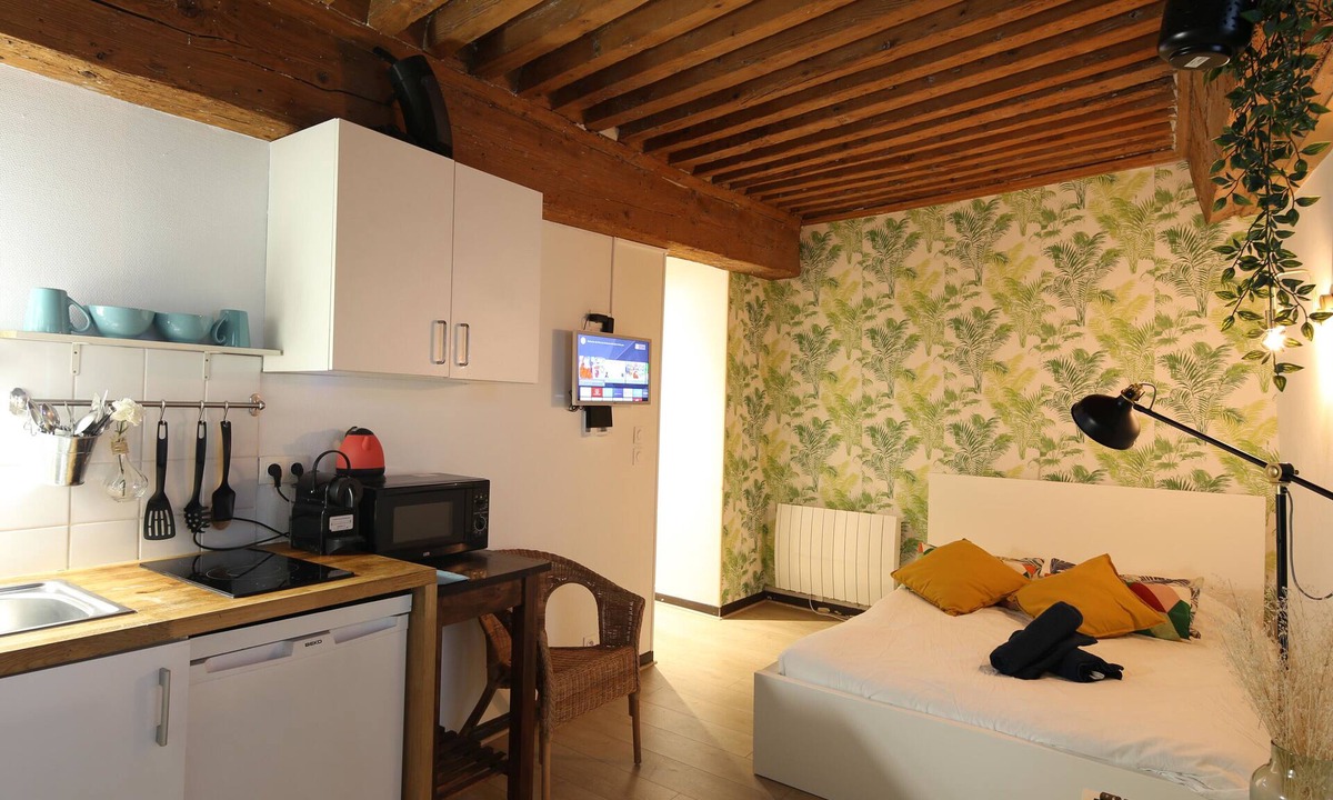 Terreaux - Bat d'argent Apartment | Charming Studio Centre Ville De Lyon