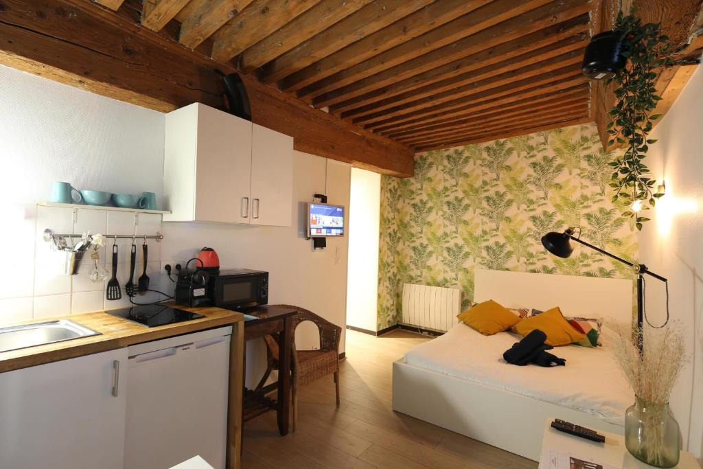 Terreaux - Bat d'argent Apartment | Charming Studio Centre Ville De Lyon
