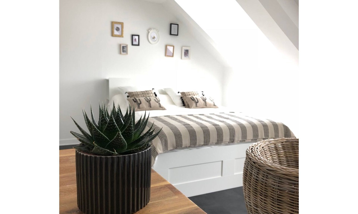 Binic Apartment | Charming Studio Facing the Port and 100 m from the Beach